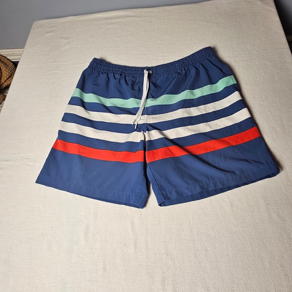 Chubbies Mens Swim Trunks Medium Blue Striped Mesh Lined Board Shorts